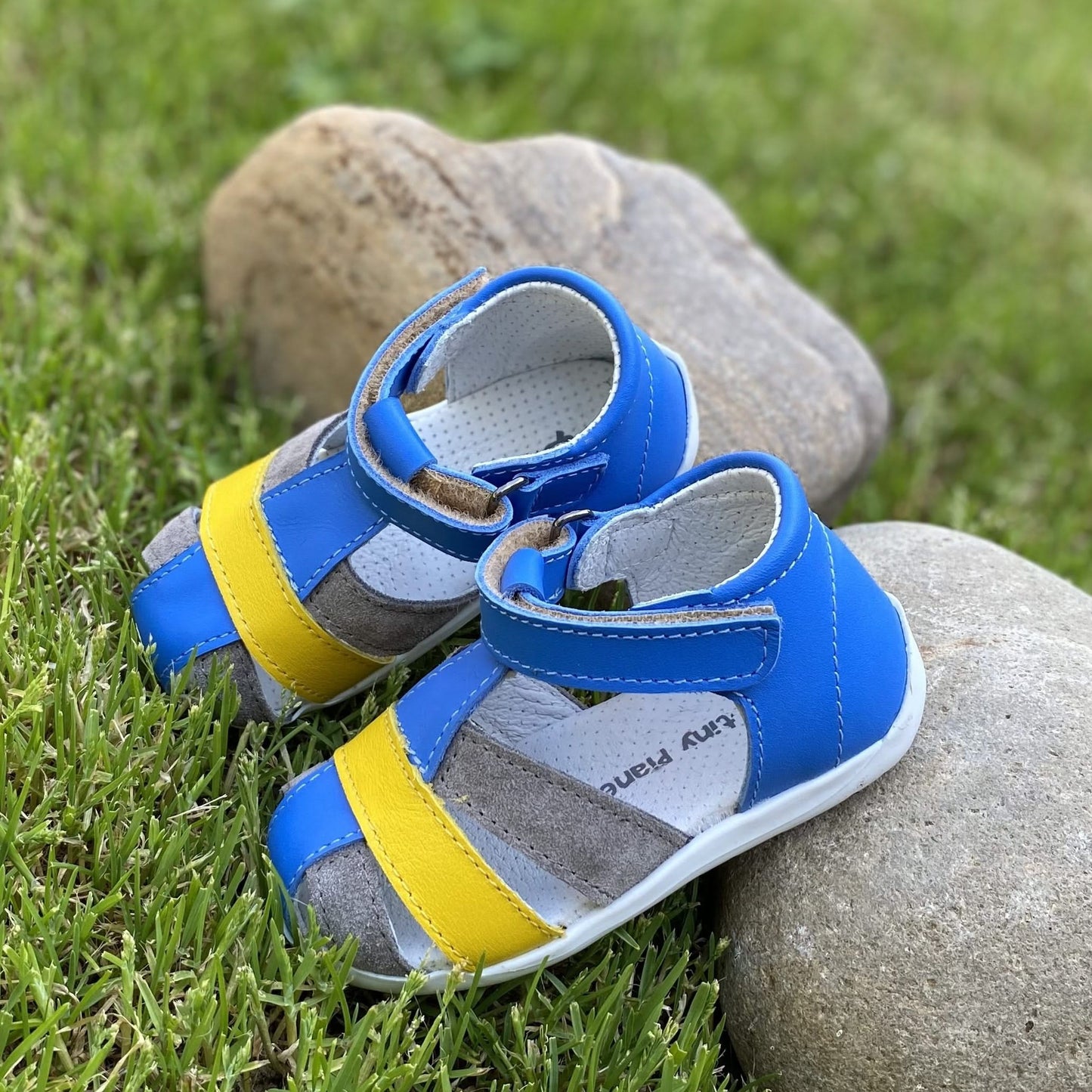 STEFAN 305.170K