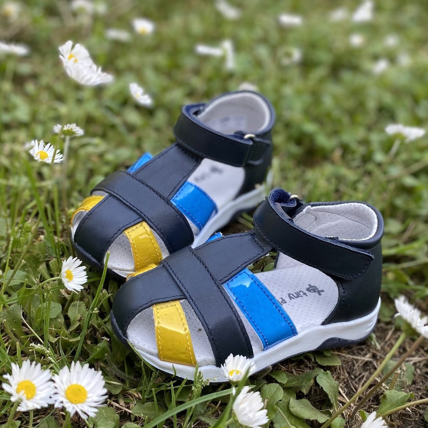STEFAN 305.105K